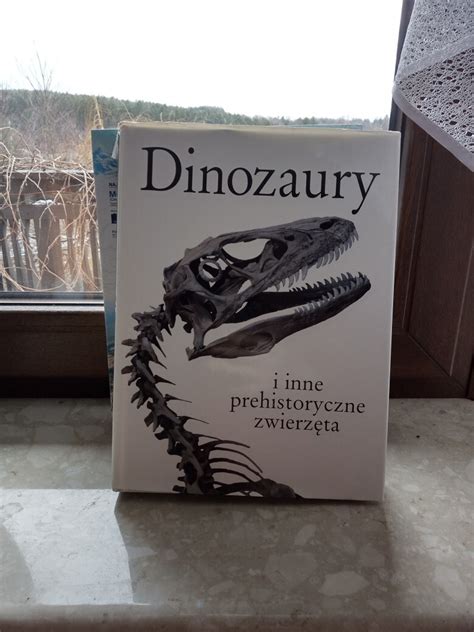 Dinozaury I Inne Zwierz Ta Prehistoryczne Klucze Og Oszenie Na