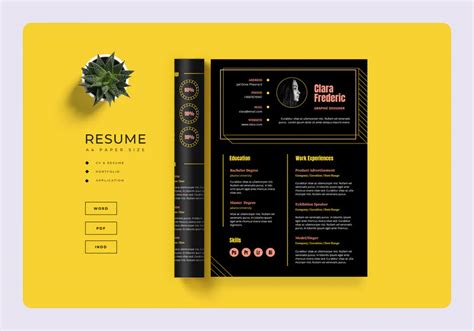 35+ Creative Resume Templates (Free/Paid) for 2024 - Hotskills