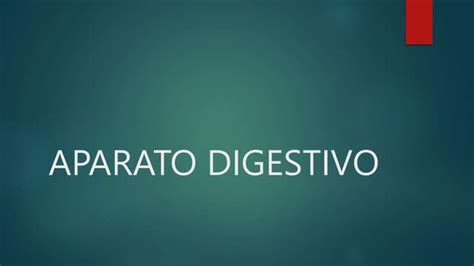 Aparato Digestivo Pptx Descarga Gratuita