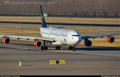 OY KBM SAS Scandinavian Airlines Airbus A340 313 Photo By Yiwen Song