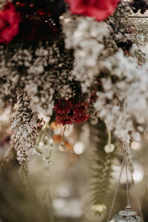 10 Wonderful reasons why you should Elope at Treedom