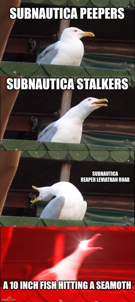 Inhaling Seagull Meme Imgflip