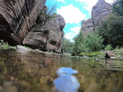 Parque Nacional Cumbres De Majalca Un Atractivo Que Debes Conocer En