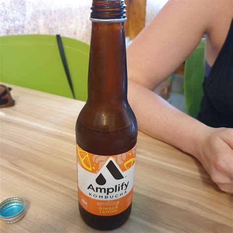 Amplify Sparkling Ginger Lemon Kombucha Reviews Abillion