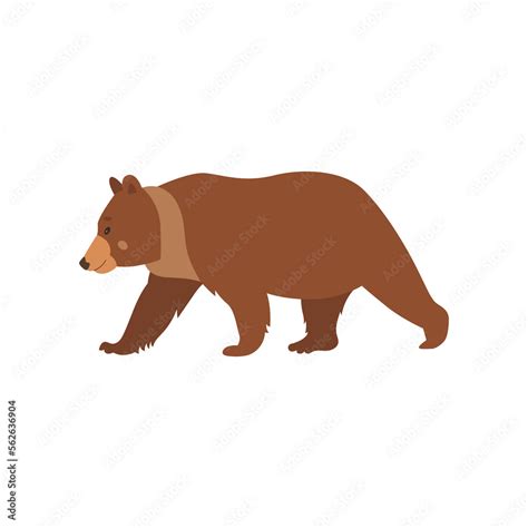 Cute Brown Bear Walking Flat Vector Illustration Drawing Of Wild