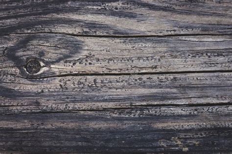 Fondo Di Legno Antico Tronchi Di Legno Grezzi Scuri Legno Duro Con