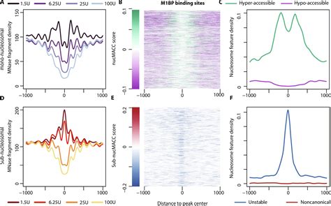 Nucmacc An Mnase Seq Pipeline To Identify Structurally Altered