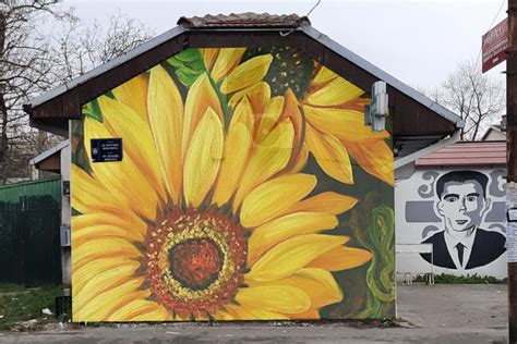 U Kote U Borba Izme U Murala I Uvredljivih Grafita Lobi Info Rs