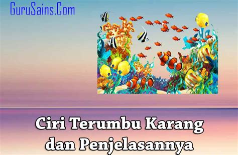 √ 6 Ciri Terumbu Karang dan Penjelasannya | Guru Sains