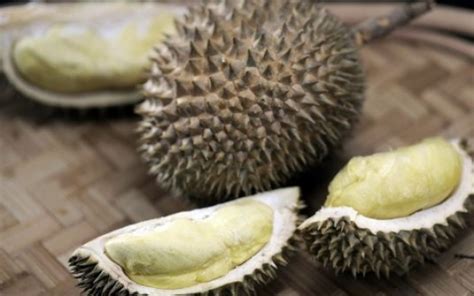 Wochenblitz News In China Verkaufte Minderwertige Durian Wurden