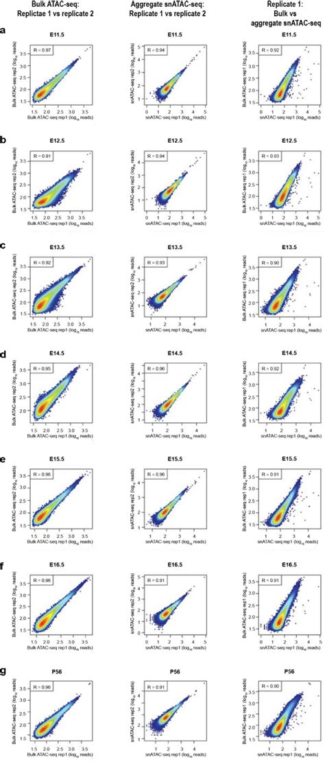 Single Nucleus Analysis Of Accessible Chromatin In Developing Mouse