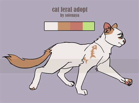 Feral Cat Adopt By Solenayaolena On Deviantart