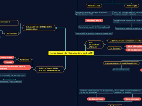 Mecanismos De Reparacion Del ADN Mind Map