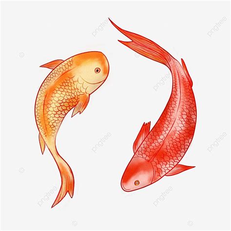 Dos Peces De Colores Nadando En Dibujos Animados PNG Dibujos Dibujos