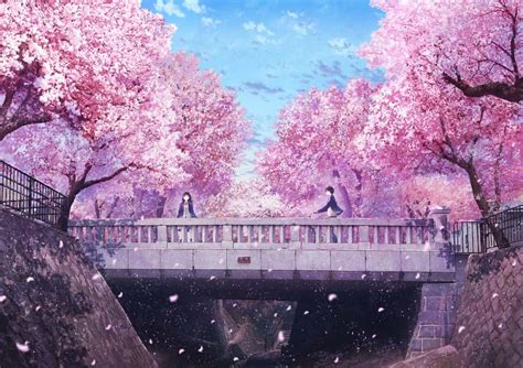 [100+] Cherry Blossom Tree Backgrounds | Wallpapers.com