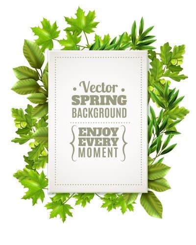 A Border Design Made Of Wood And Green Leaves Vector Image