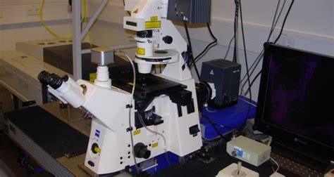 Zeiss Lsm Meta Confocal Laser Scanning Microscope Wur