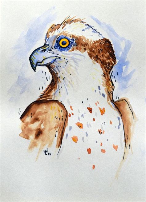 The Osprey Original Watercolor Etsy Original Watercolors Original