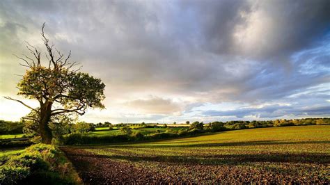 English Countryside Wallpapers - Wallpaper Cave