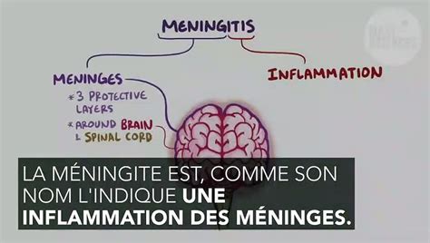 Méningite Symptômes Contagion Définition Traitement Quest Ce Que Cest Vidéo Dailymotion