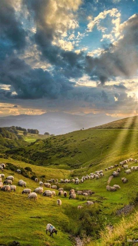 Pin De Aar N En Paisajes En Hermosa Fotograf A De Paisaje