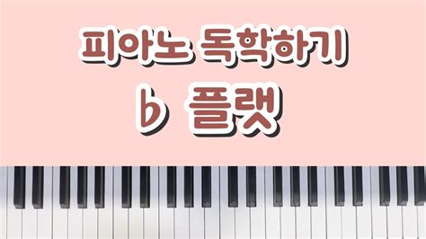 왕초보 피아노 배우기 플랫b 피아노 독학 피아노레슨🎹 Youtube