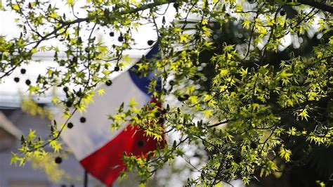 Fecha y hora Cuándo empieza oficialmente la primavera en Chile este