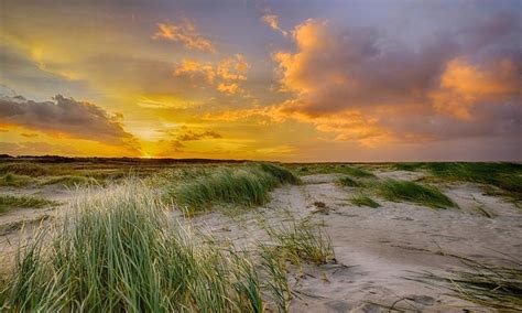 Fotobehang Duinen En Strand Schiermonnikoog 250 X 260 Cm 175