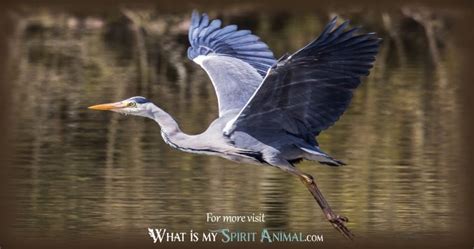 Heron symbolism meaning – Artofit