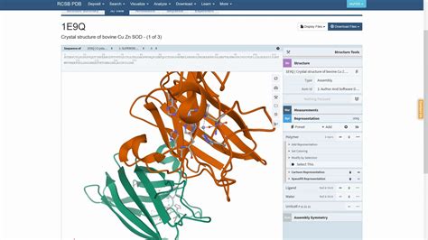 Superoxide Dismutase Youtube