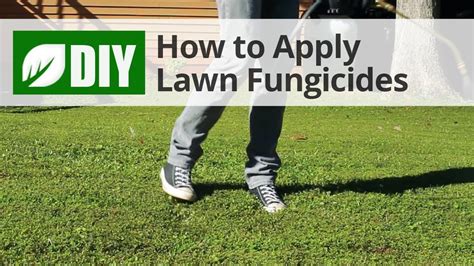 How To Use Lawn Fungicides For A Lawn Fungus Treatment Youtube