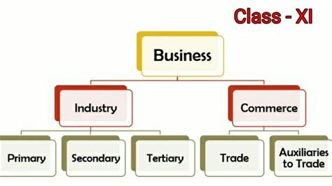 Classification Of Business Activities Chapter Class Xi Business