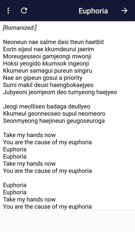 Euphoria BTS Lyrics