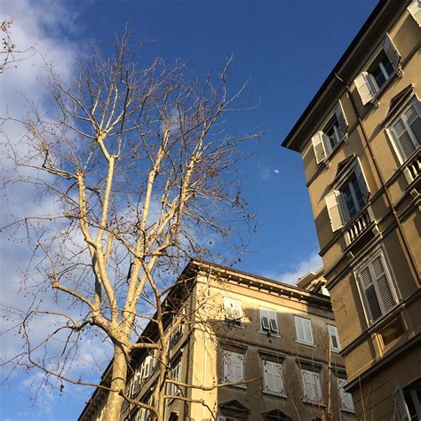 Viale Xx Settembre Trieste Duccio Pugliese Flickr