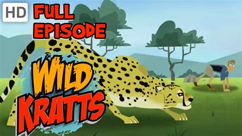 Wild Kratts Cheetah Racer Hd Full Episode Youtube