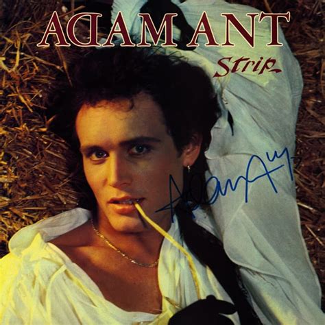 Adam Ant Signed Strip Album - Artist signed collectibles and gifts