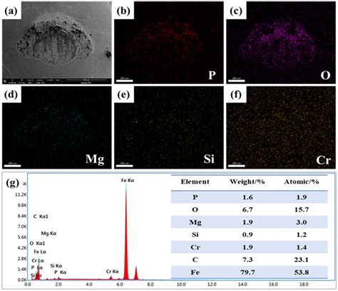 Surface Morphology And Elemental Analysis Of Wear Spot A Surface