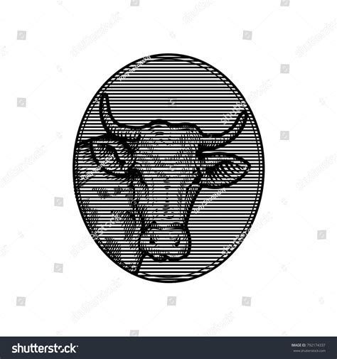 Cow Head Hand Drawn Sketch Graphic Stock Vector Royalty Free