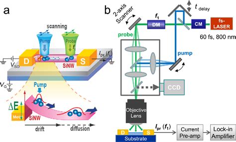 Figure From Imaging Ultrafast Carrier Transport In Nanoscale Field