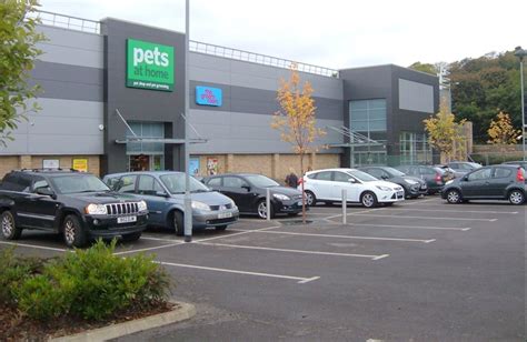 Uks Pets At Home Picks Skys Mcgowan As First Female Ceo Business