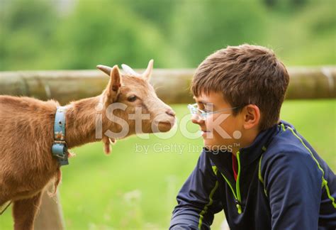 Kid With Baby Goat Stock Photo | Royalty-Free | FreeImages