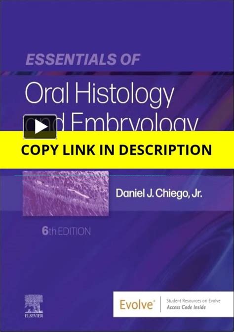 Ppt Pdf Essentials Of Oral Histology And Embryology A Clinical