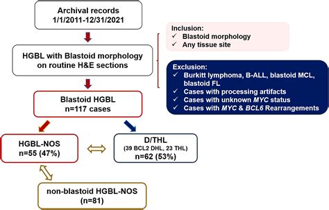 The Clinicopathologic Features And Molecular Signatures Of Blastoid High Grade B Cell Lymphoma