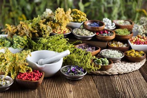 phytotherapy stock  royalty  phytotherapy images depositphotos