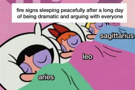 The 25 Funniest Astrology Memes for All Signs | Darcy