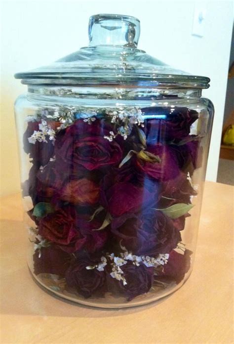 Dried Roses Ive Kept From My Boyfriend Drying Roses Feather Crafts