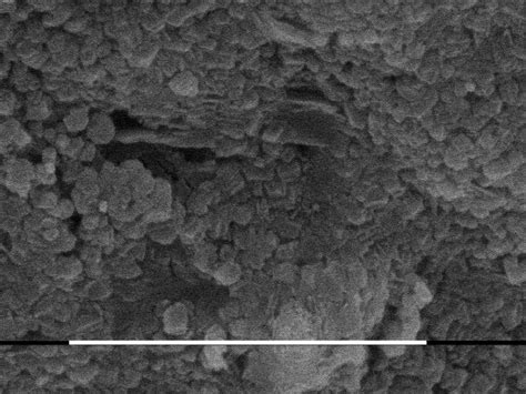 C Synthetic Tricalcium Silicate Cement X 9000 Download Scientific