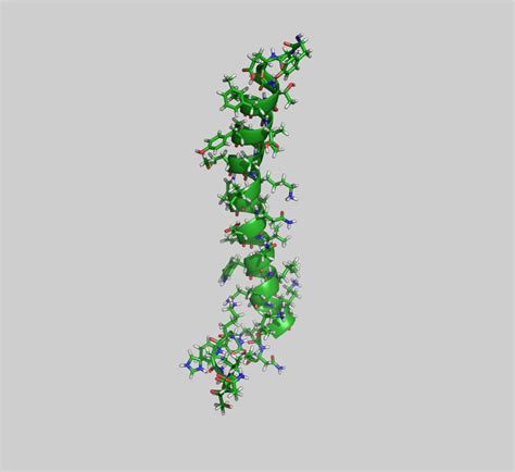 Glucose-dependent insulinotropic polypeptide - Wikiwand