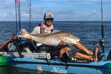 Everything You Need To Know About How To Catch Redfish Kayak Angler