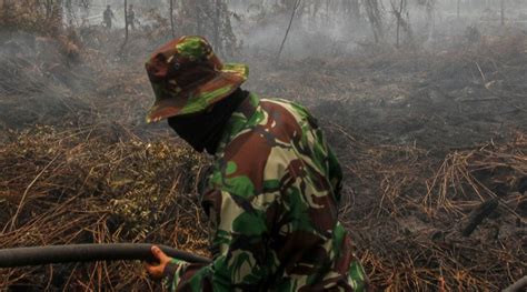 18 Titik Panas Terdeteksi Di Kaltim Tersebar Di 4 Kabupaten